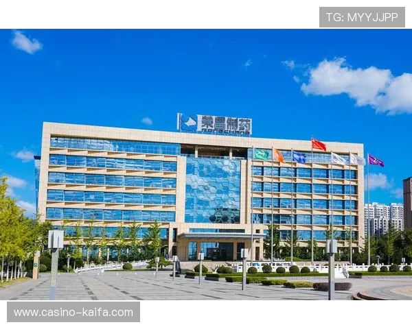 凯发集团官网首页支付方式介绍多样化支付渠道保障玩家资金安全 凯发集团官网首页支付方式介绍多样化支付渠道保障玩家资金安全