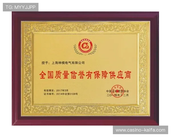 凯发真人国际：全面解析平台的安全保障措施与信誉保障